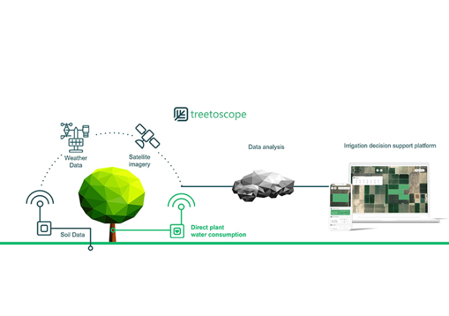 Foto Treetoscope Amplía el Acceso Geográfico de su Plataforma de Gestión del Riego.